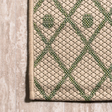 Boho Moroccan Indoor/outdoor Area Rug